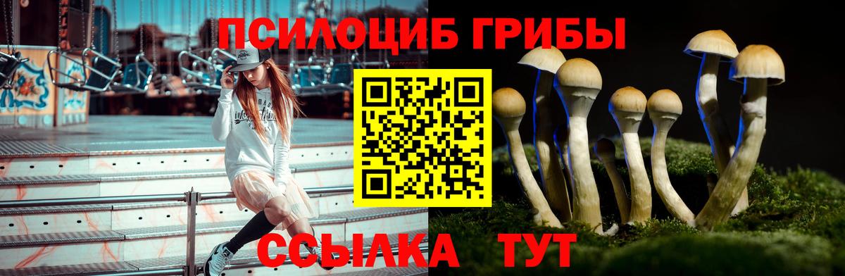 купить наркотики сайты  Галлюциногенные грибы Cubensis  Вход с VPN  Обь 